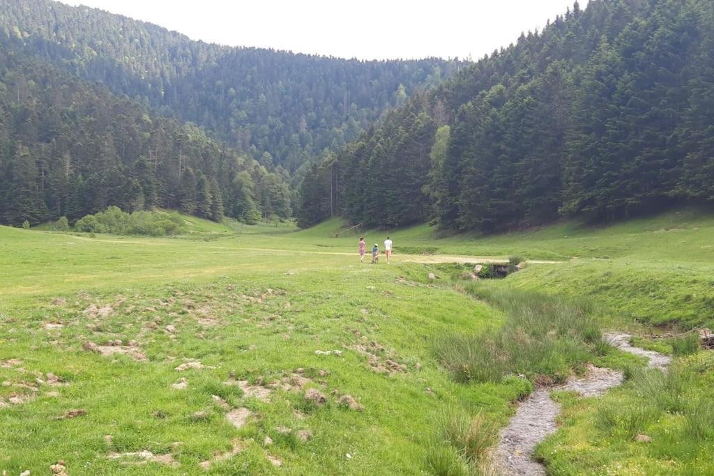 La Cabane Du Cerf A Payolle Кампан Екстериор снимка